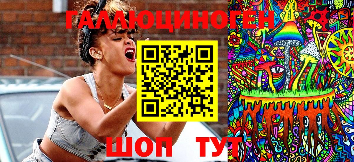 Псилоцибиновые грибы Psilocybe Новочеркасск