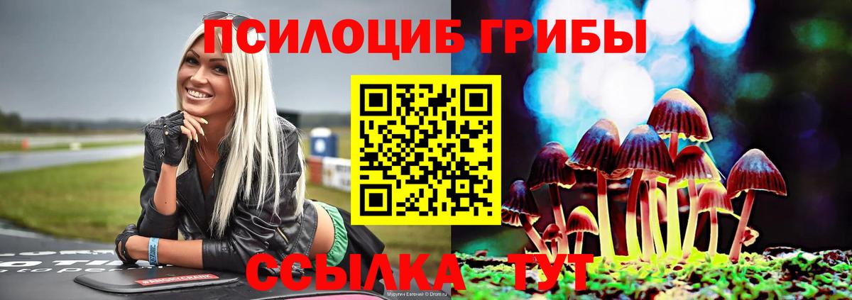 Галлюциногенные грибы MAGIC MUSHROOMS  Вход с VPN  Новочеркасск 